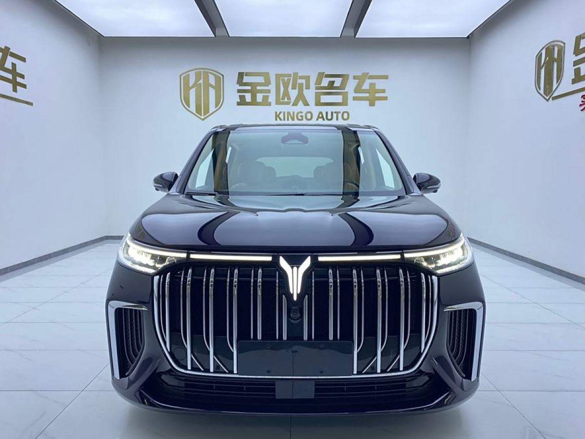 嵐圖 夢(mèng)想家  2024款 PHEV 超長(zhǎng)續(xù)航旗艦版圖片