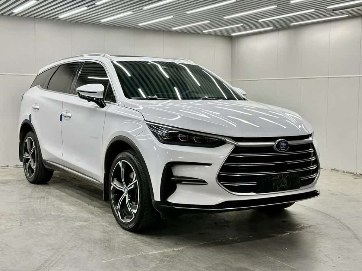 比亞迪 唐新能源  2021款 DM-i 112KM 尊貴型圖片
