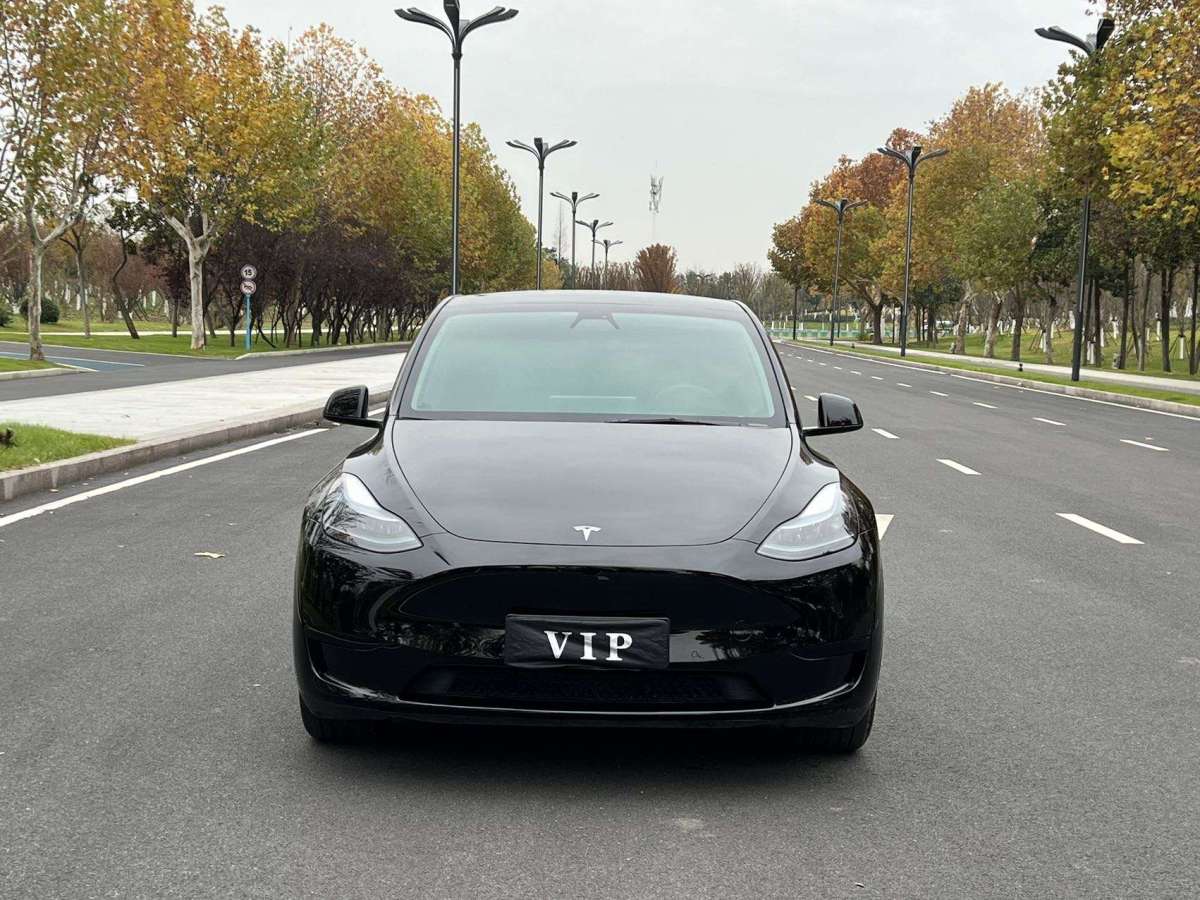 特斯拉 Model Y  2022款 后驅(qū)版圖片