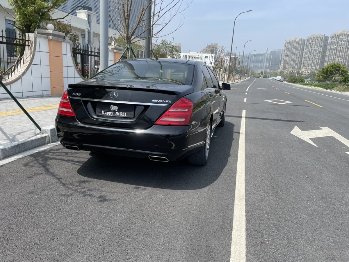 奔馳 奔馳S級  2010款 S 300 L 商務(wù)型圖片