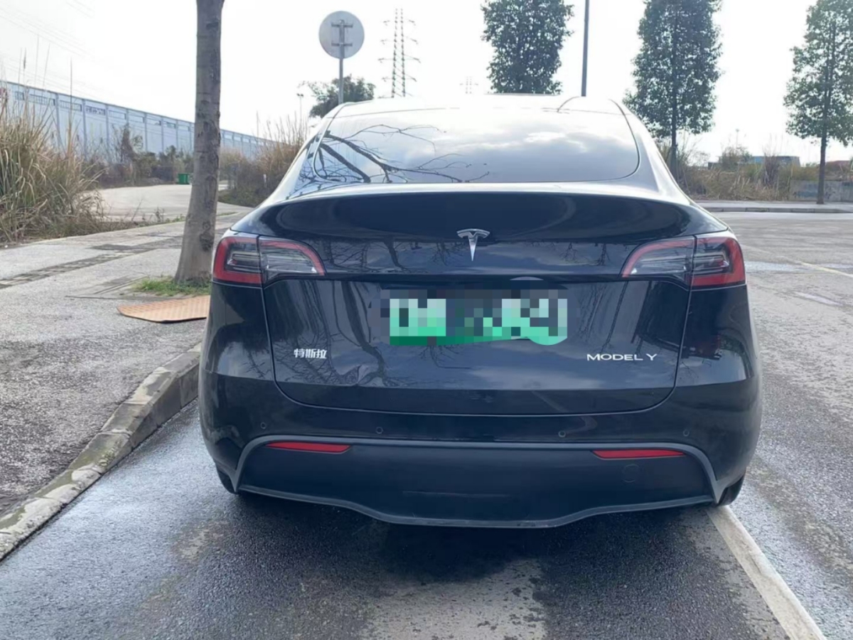 特斯拉 Model 3  2020款 改款 長(zhǎng)續(xù)航后輪驅(qū)動(dòng)版圖片