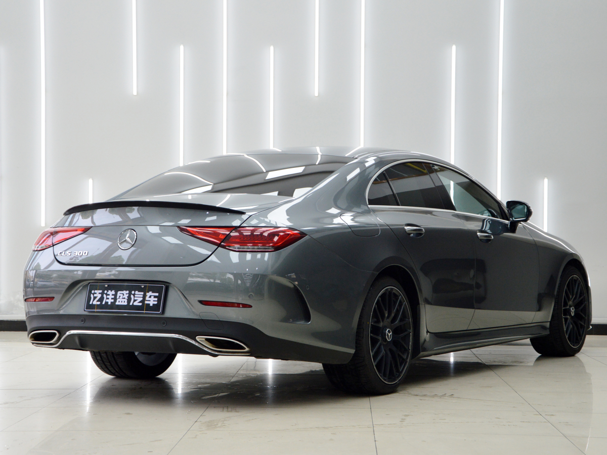 奔馳 奔馳CLS級  2018款 CLS 300 豪華型圖片