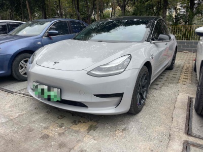 2020年12月 特斯拉 Model 3 標(biāo)準(zhǔn)續(xù)航后驅(qū)升級(jí)版圖片