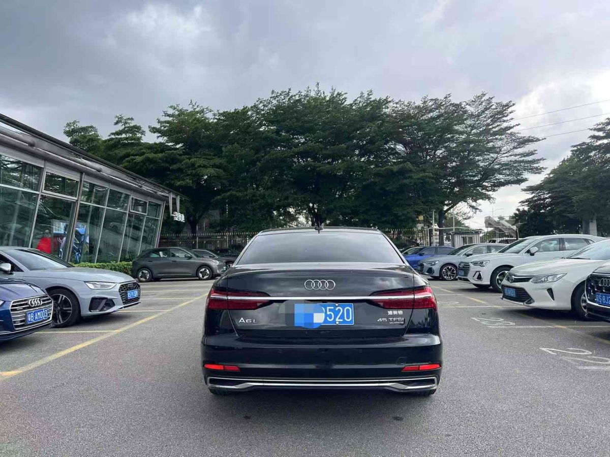 奧迪 奧迪A6L  2023款 改款 45 TFSI quattro 臻選致雅型圖片