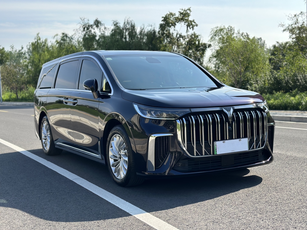 嵐圖 夢(mèng)想家  2024款 PHEV 超長(zhǎng)續(xù)航卓越版圖片