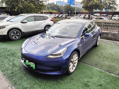 2020年1月 特斯拉 Model 3 標(biāo)準(zhǔn)續(xù)航后驅(qū)升級(jí)版圖片