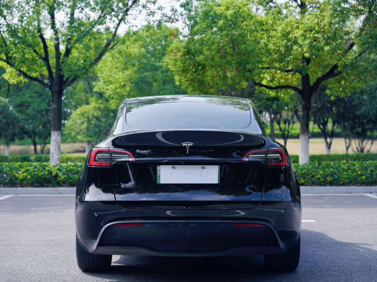 特斯拉 Model Y 2022款 后輪驅動版圖片