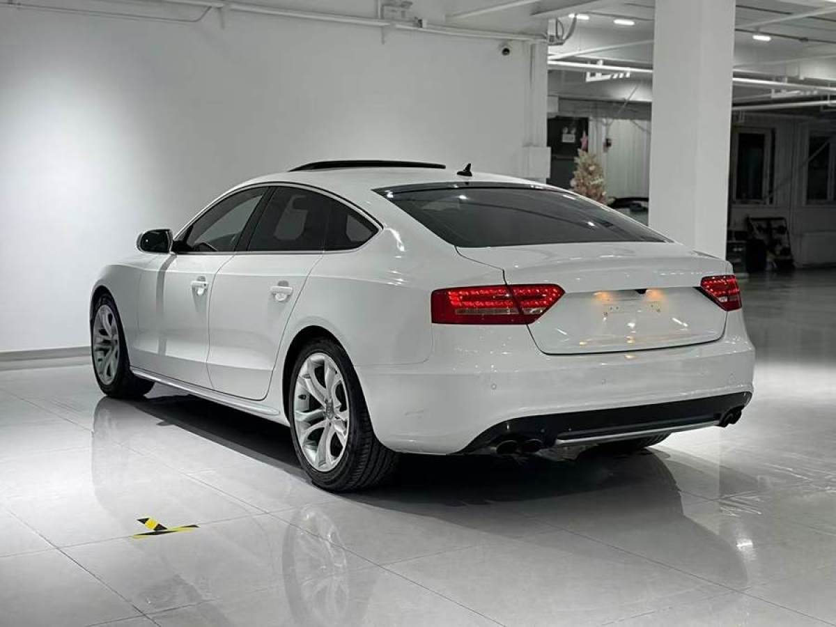 奧迪 奧迪S5  2010款 S5 3.0T Sportback圖片