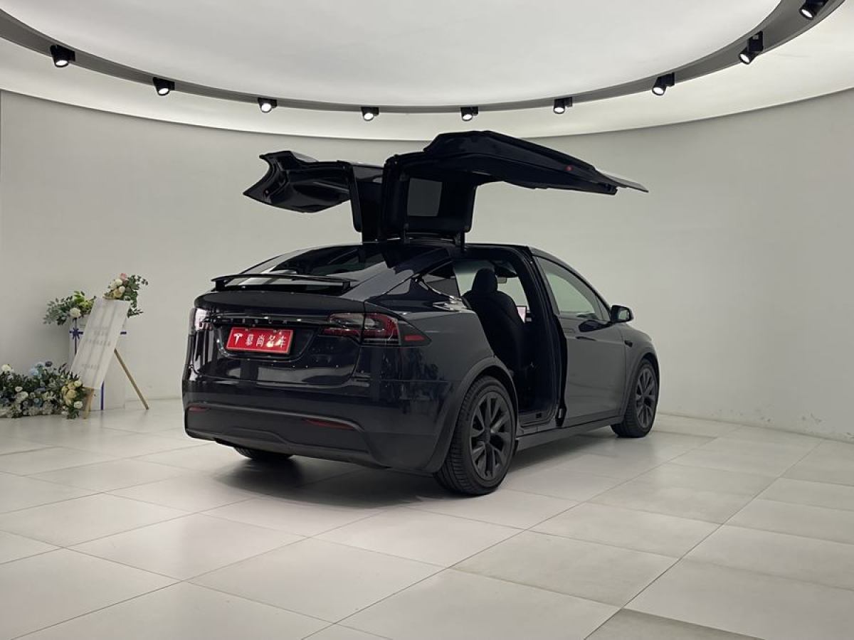 特斯拉 Model X  2023款 雙電機(jī)全輪驅(qū)動(dòng)版圖片