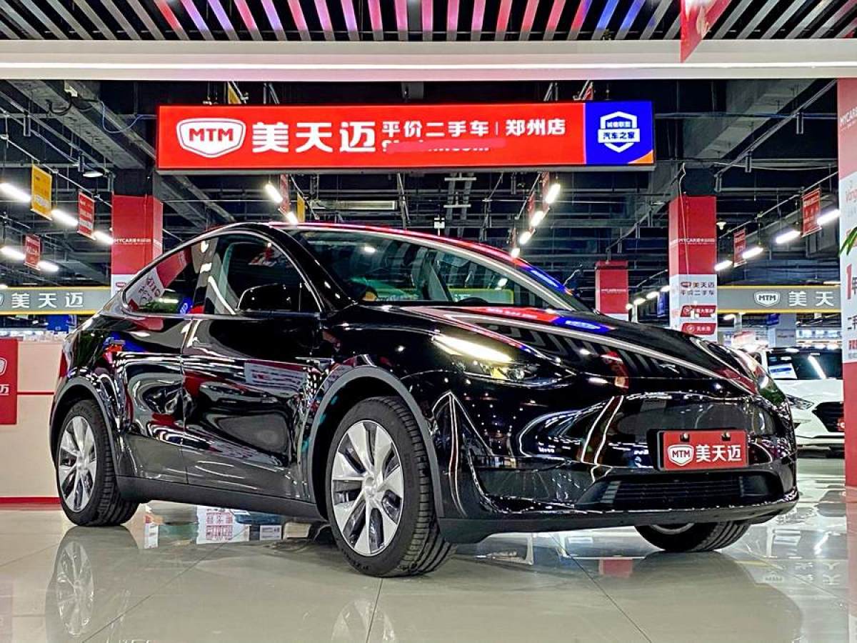 特斯拉 Model 3  2020款 改款 長續(xù)航后輪驅(qū)動版圖片