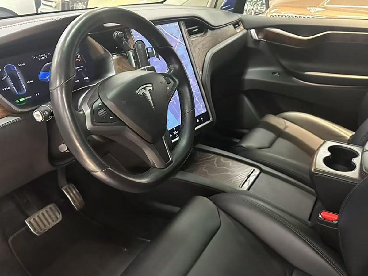 特斯拉 Model X  2019款 長續(xù)航版圖片