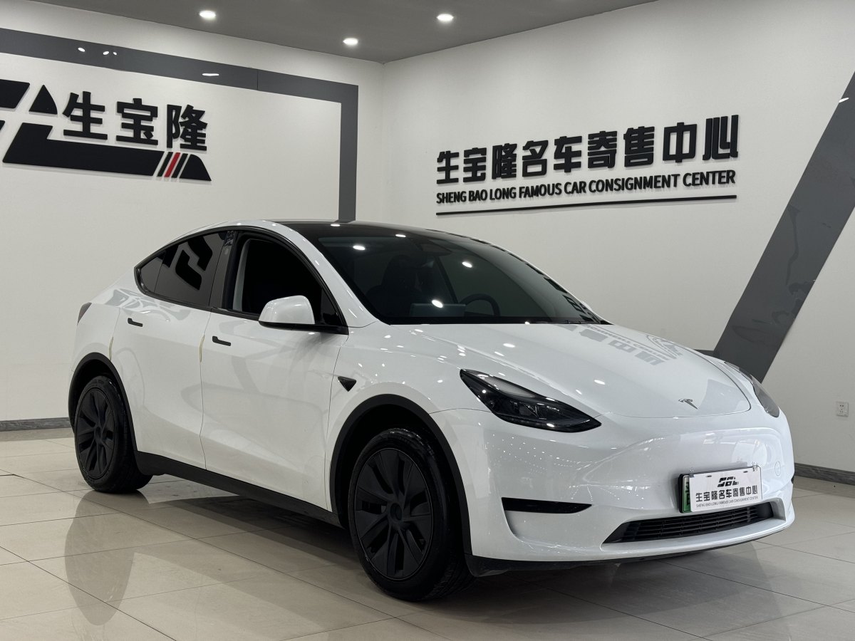 特斯拉 Model Y  2020款 改款 長(zhǎng)續(xù)航后輪驅(qū)動(dòng)版圖片