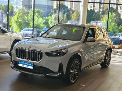 寶馬 寶馬X1 xDrive25Li X設(shè)計(jì)套裝圖片