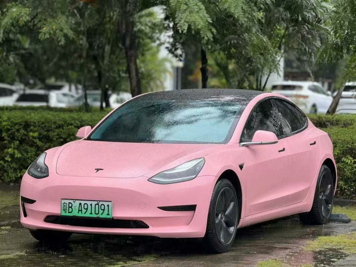 特斯拉 Model 3  2020款 標(biāo)準(zhǔn)續(xù)航后驅(qū)升級版圖片