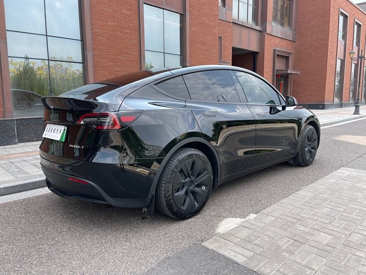 特斯拉 Model Y  2020款 改款 長續(xù)航后輪驅(qū)動版圖片