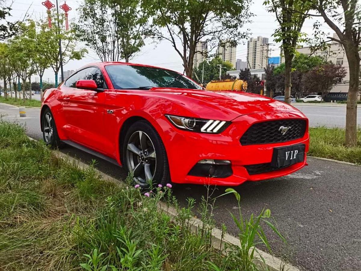 福特 Mustang  2015款 2.3T 50周年纪念版图片