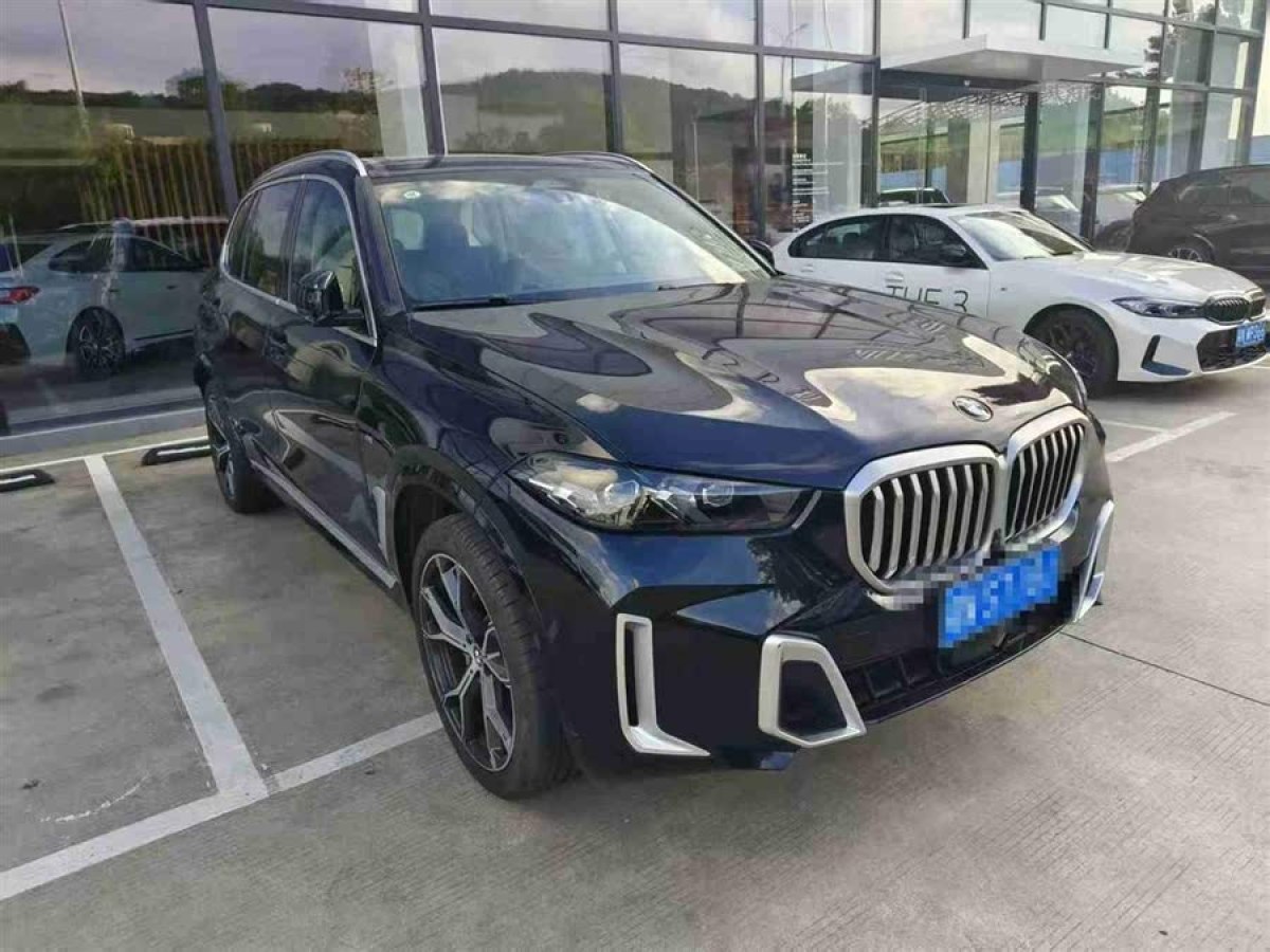 寶馬 寶馬X5  2023款 xDrive 30Li 尊享型M運(yùn)動(dòng)套裝圖片