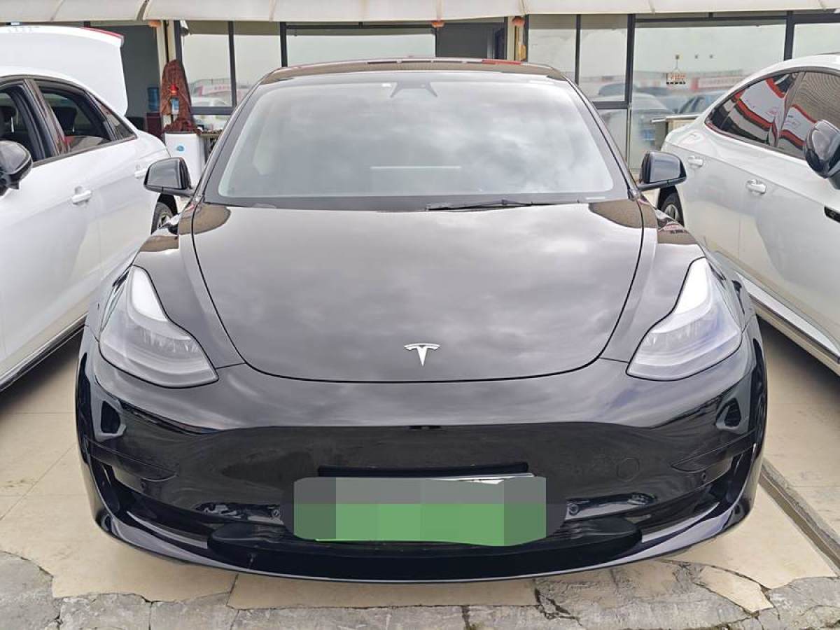 2023年11月特斯拉 Model Y  2023款 后輪驅(qū)動版