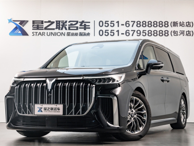 2024年5月 嵐圖 夢(mèng)想家 PHEV 超長續(xù)航旗艦版圖片