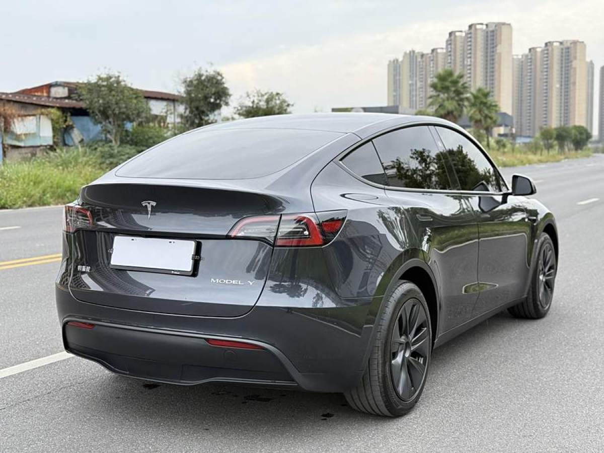 特斯拉 Model 3  2020款 改款 長(zhǎng)續(xù)航后輪驅(qū)動(dòng)版圖片