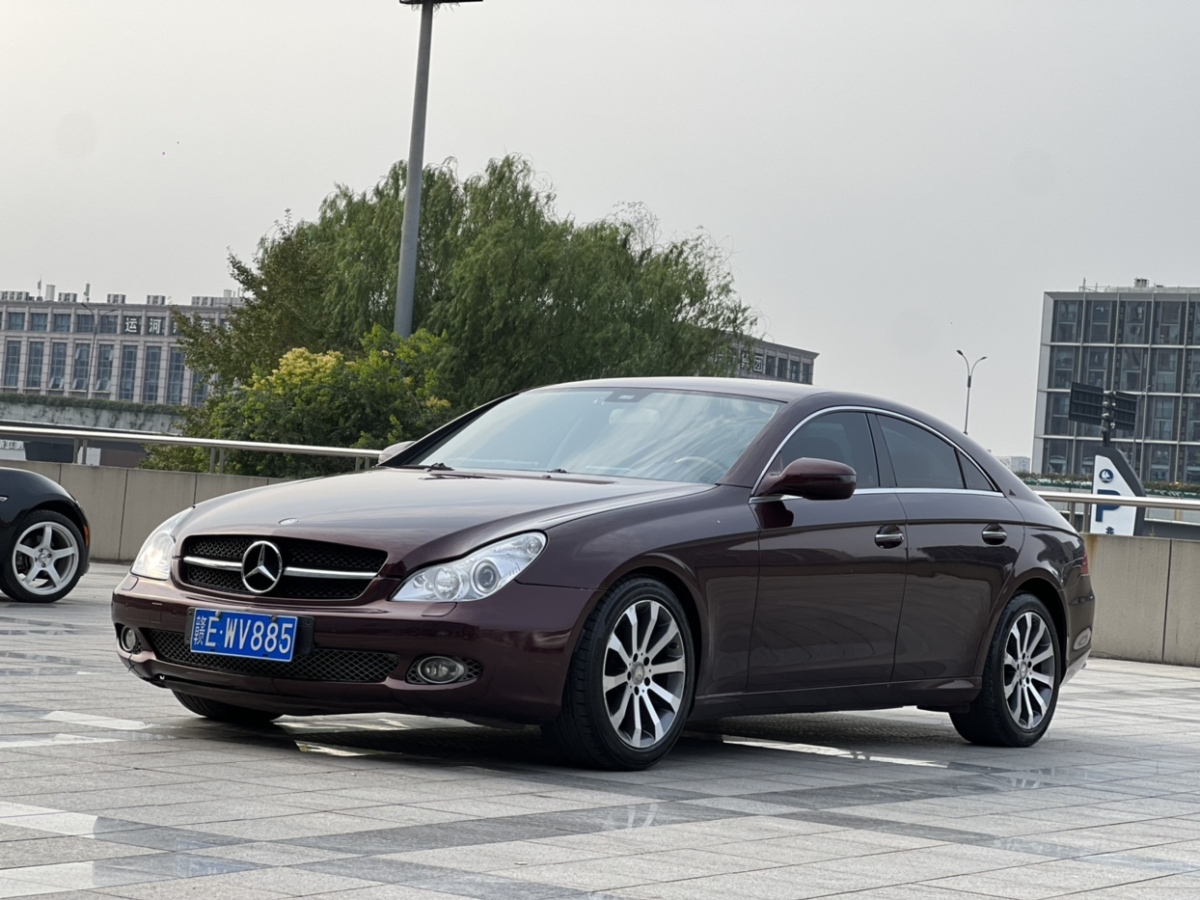 奔驰 奔驰CLS级  2009款 CLS 300图片