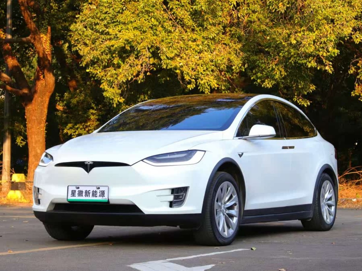 特斯拉 Model X  2020款 長(zhǎng)續(xù)航升級(jí)版圖片