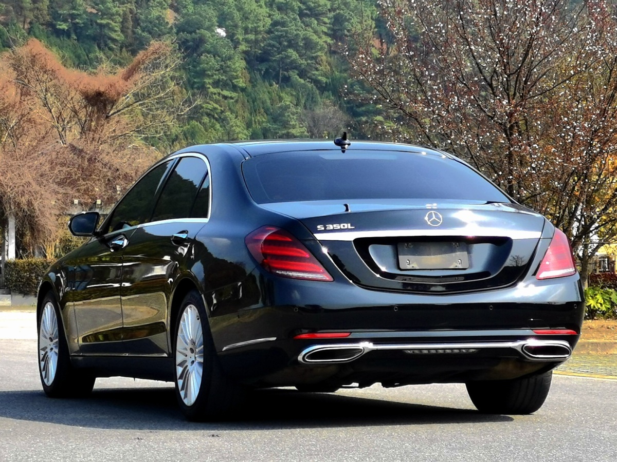 奔馳S級 2020款 S 350 L 商務型 臻藏版圖片