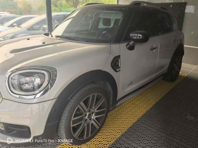  MINI COUNTRYMAN 2019款 2.0T COOPER S ALL4 藝術家 圖片