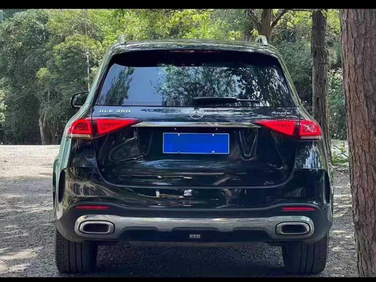 奔馳 奔馳GLE  2020款  GLE 350 4MATIC 時尚型圖片