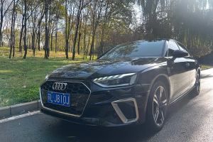 奥迪A4L 奥迪 40 TFSI 豪华动感型