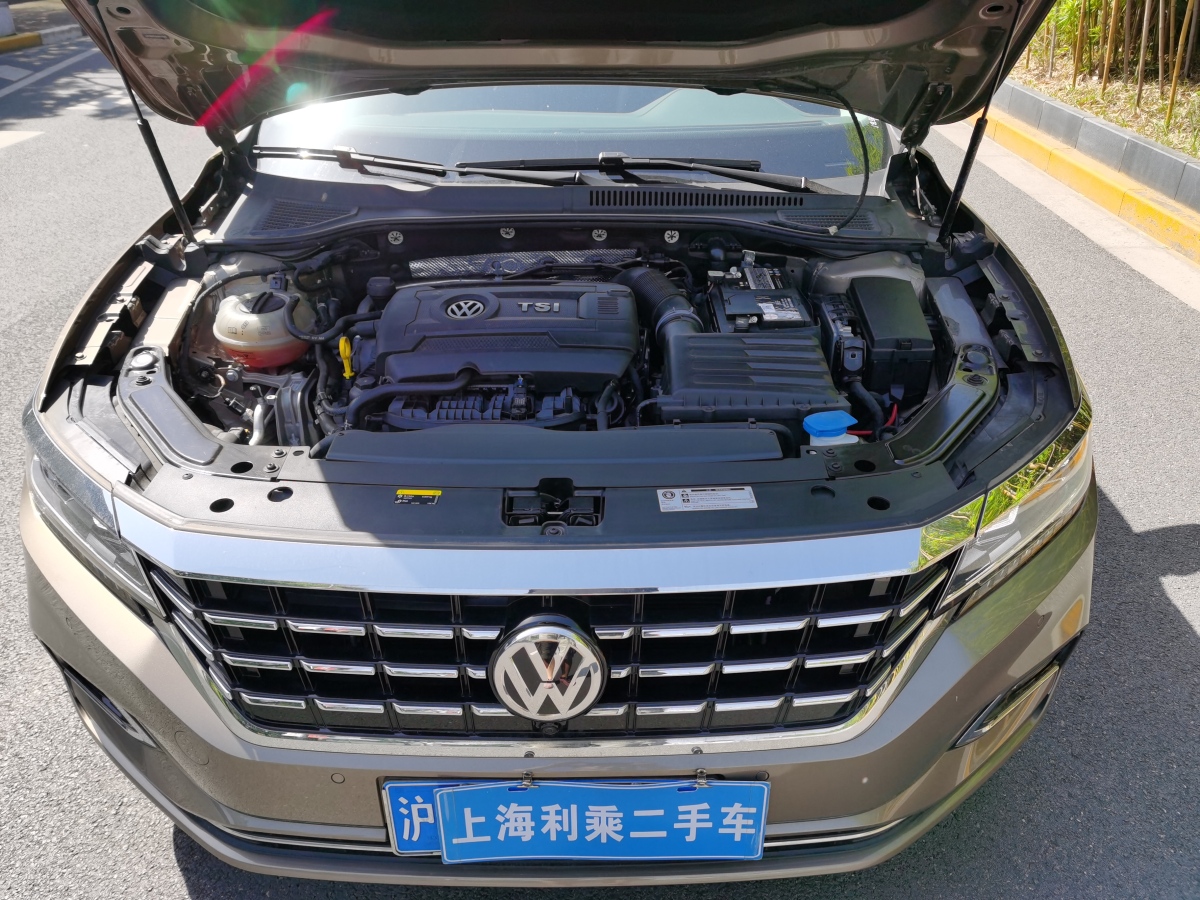 大眾 帕薩特  2019款 380TSI 尊貴版圖片