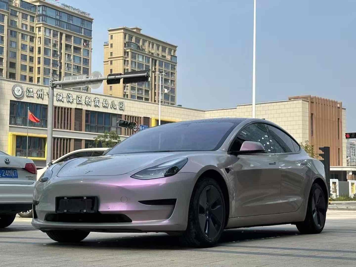 2021年6月特斯拉 Model 3  2021款 標(biāo)準(zhǔn)續(xù)航后驅(qū)升級版 3D6