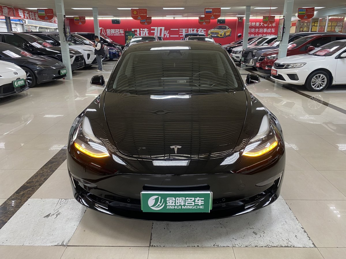 特斯拉 Model 3  2020款 改款 長(zhǎng)續(xù)航后輪驅(qū)動(dòng)版圖片