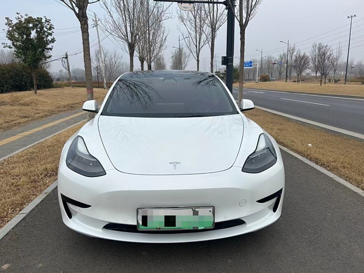 特斯拉 Model 3  2021款 改款 標(biāo)準(zhǔn)續(xù)航后驅(qū)升級版圖片