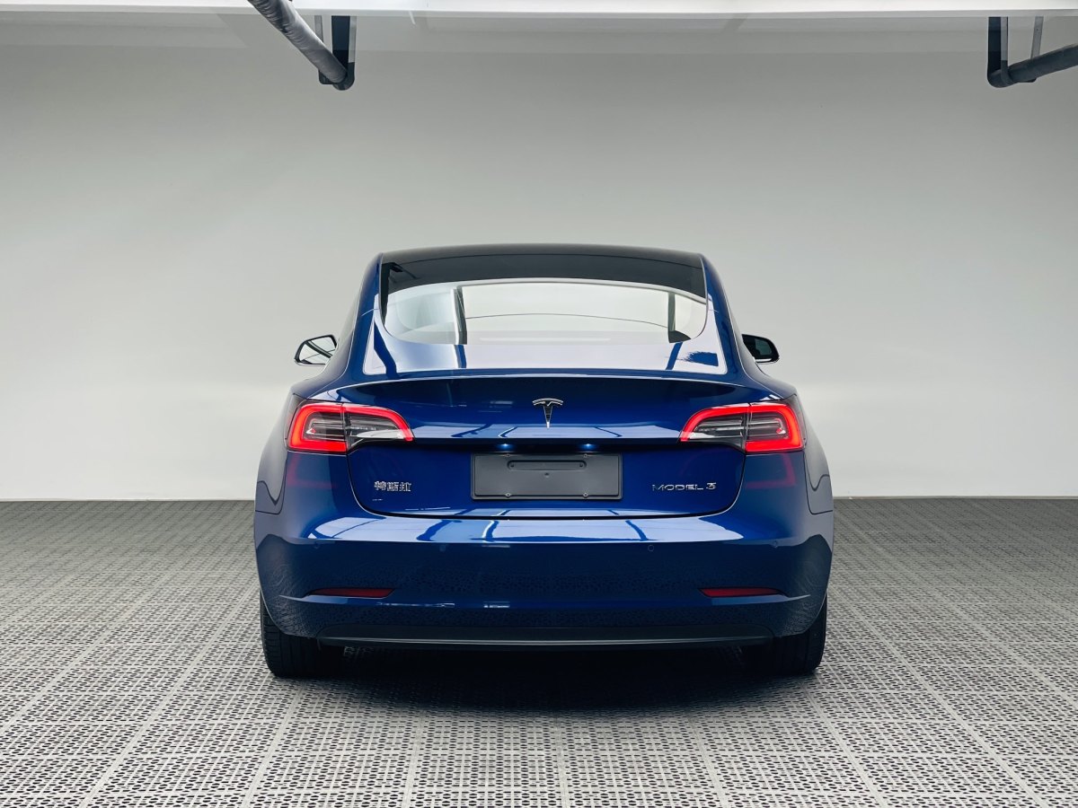 特斯拉 Model 3  2019款 標準續(xù)航后驅(qū)升級版圖片