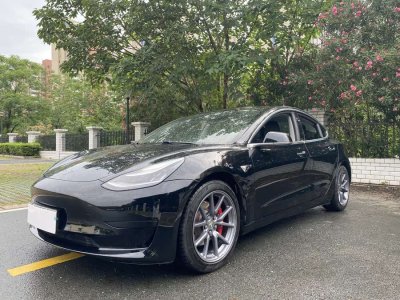 2020年11月 特斯拉 Model 3 改款 標(biāo)準(zhǔn)續(xù)航后驅(qū)升級(jí)版圖片