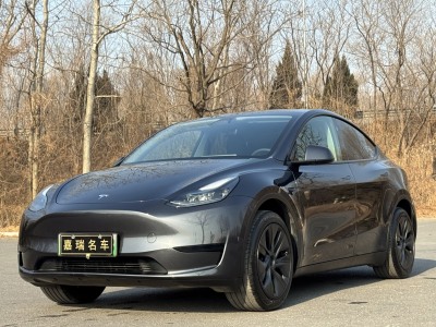 2024年5月 特斯拉 Model Y 后輪驅(qū)動(dòng)版圖片