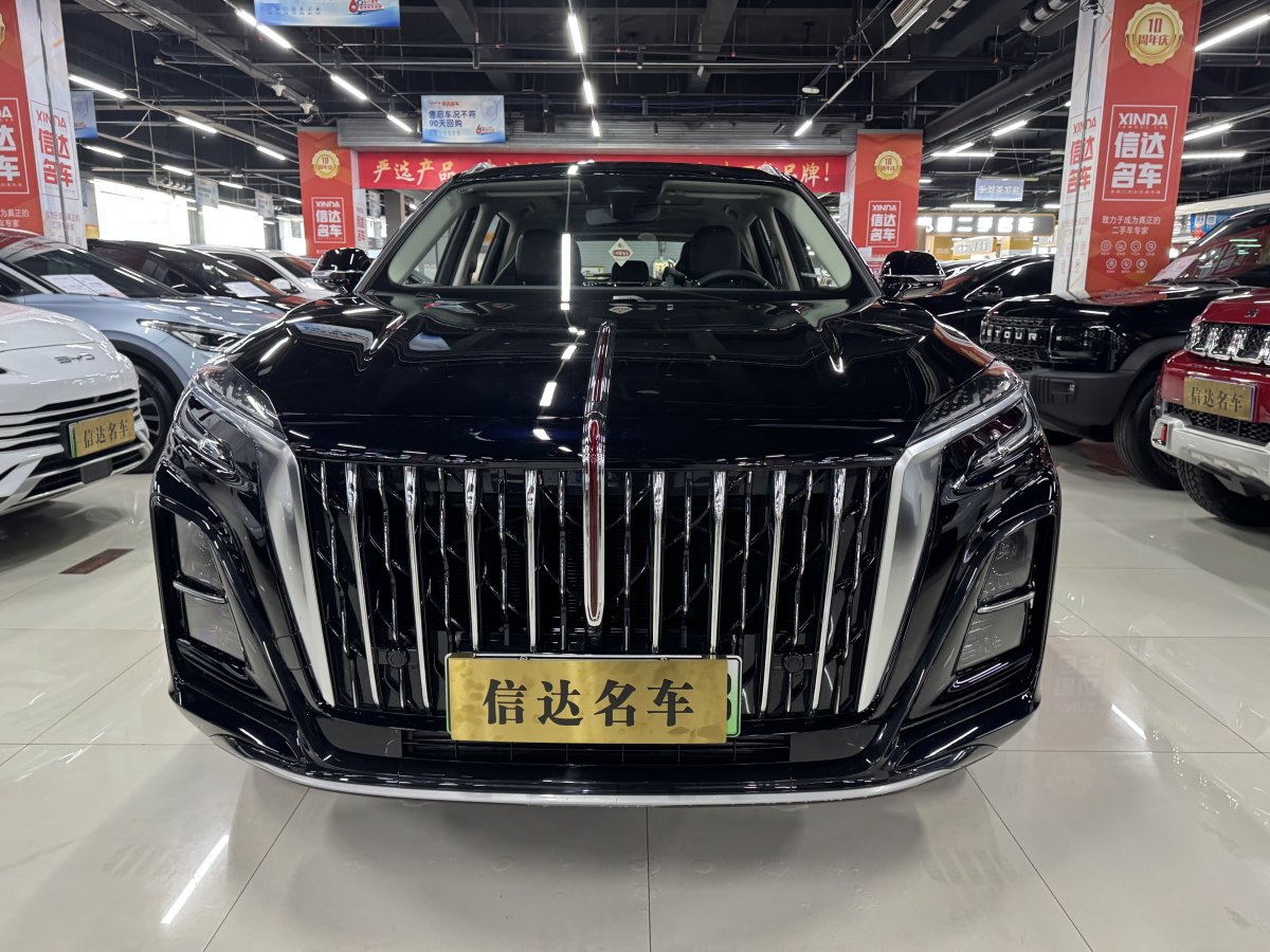 紅旗 紅旗HS3 PHEV  2024款 PHEV 115km 勁為版圖片