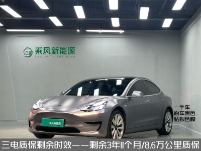 2020年4月 特斯拉 Model 3 標(biāo)準(zhǔn)續(xù)航后驅(qū)升級版圖片