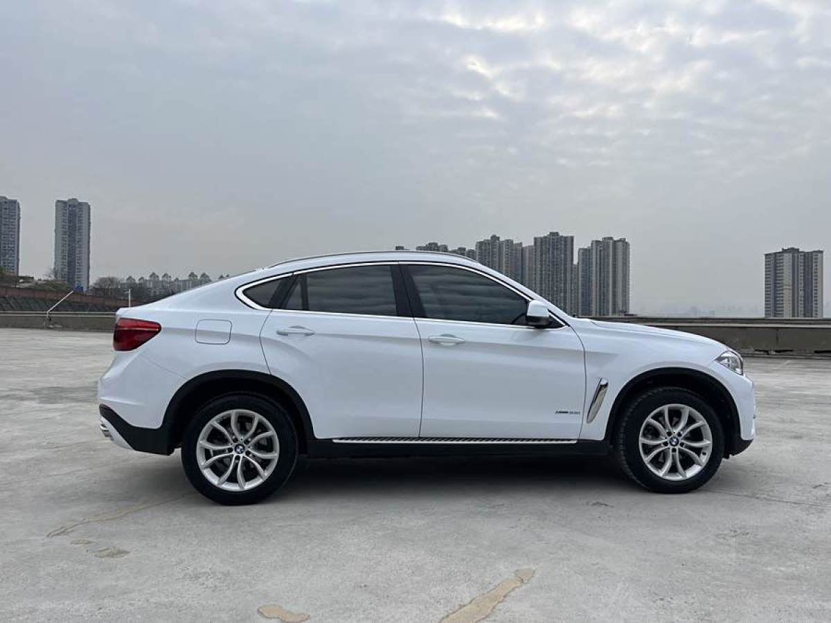 寶馬 寶馬X6  2017款 xDrive35i 領(lǐng)先型圖片