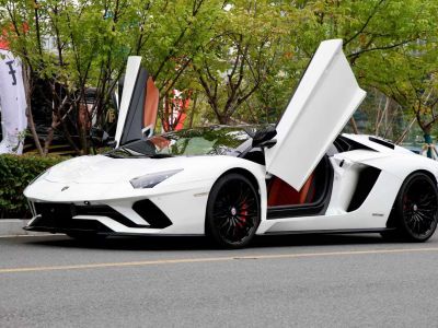 2019年1月 兰博基尼 Aventador Aventador SVJ图片