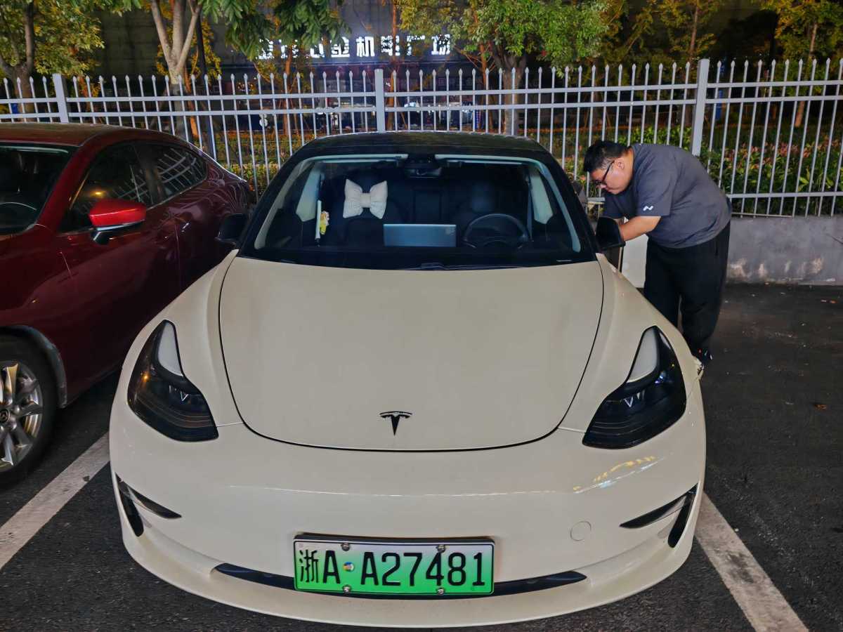 特斯拉 Model 3  2019款 Performance高性能全輪驅(qū)動(dòng)版圖片