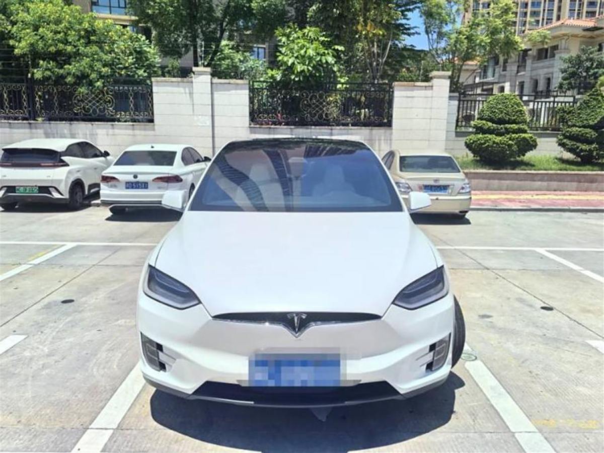 2020年1月特斯拉 Model X  2019款 長續(xù)航版