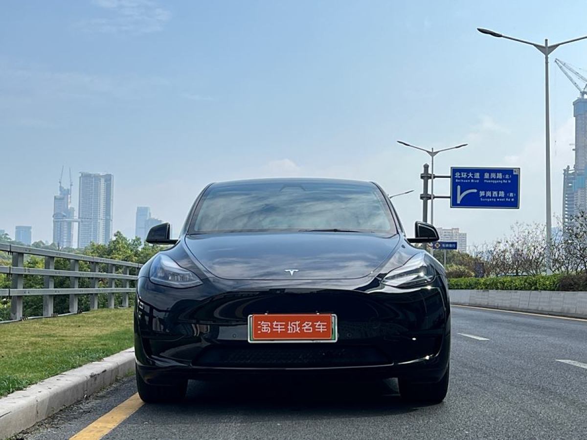 特斯拉 Model Y  2020款 改款 長續(xù)航后輪驅動版圖片