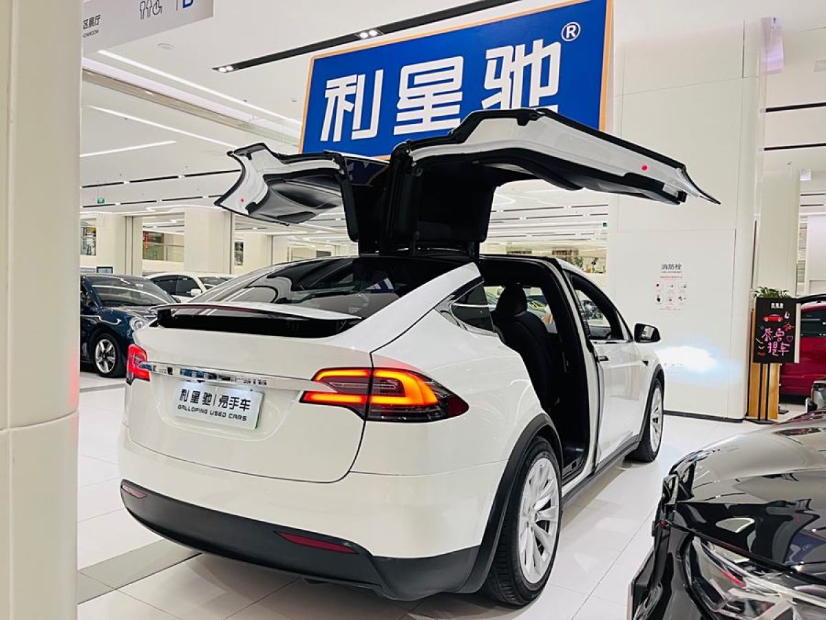 特斯拉 Model X  2019款 長續(xù)航版圖片