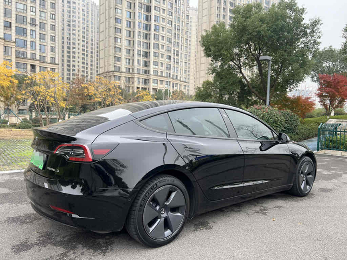 特斯拉 Model 3  2021款 標(biāo)準(zhǔn)續(xù)航后驅(qū)升級版 3D6圖片