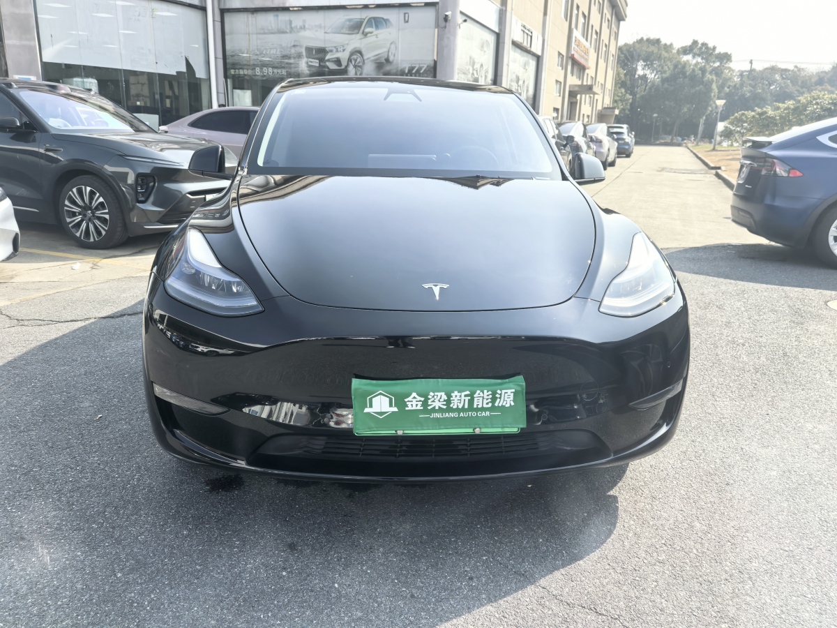 特斯拉 Model 3  2021款 改款 Performance高性能全輪驅(qū)動(dòng)版圖片