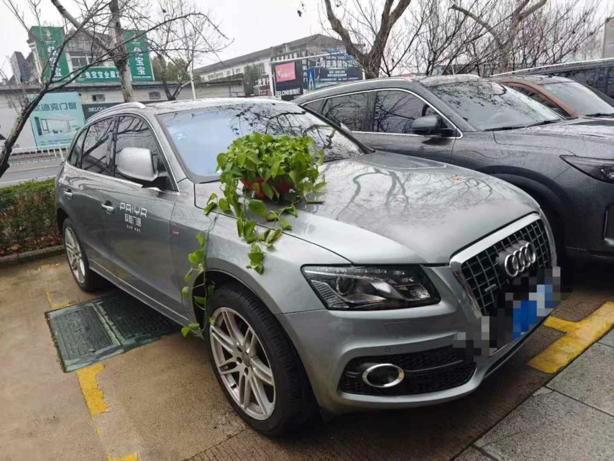 2010年1月奧迪 奧迪Q5  2010款 Q5 2.0TSI 首發(fā)限量版運(yùn)動(dòng)版