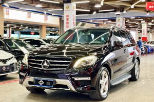 奔驰M级 奔驰 ML 350 动感型