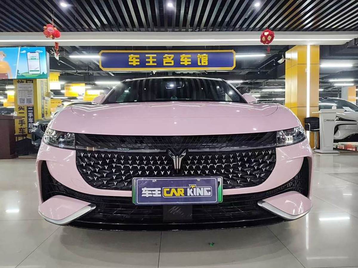 嵐圖 嵐圖追光  2024款 PHEV 四驅(qū)超長(zhǎng)續(xù)航行政版圖片